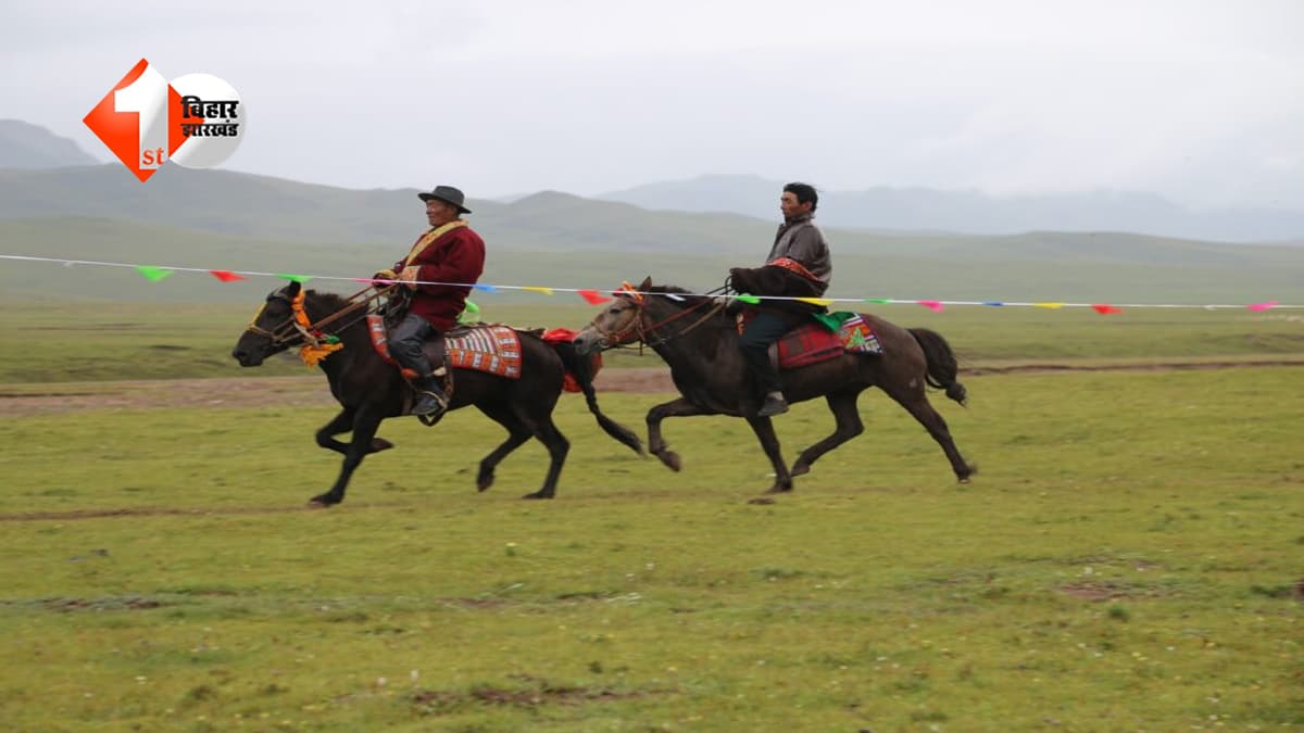 Animal Ride Weight Limit: ज्यादा वजन वालों के लिए अब मुश्किल! इन जगहों पर घूमने पर लगी रोक, जानें क्यों लागू हुआ ये सख्त नियम