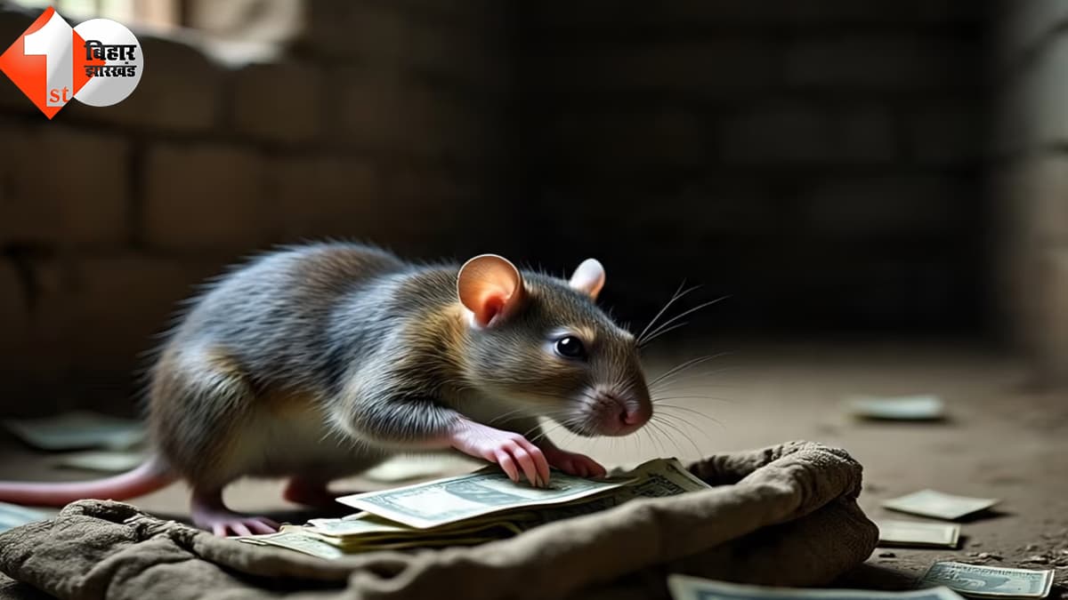 बिहार न्यूज