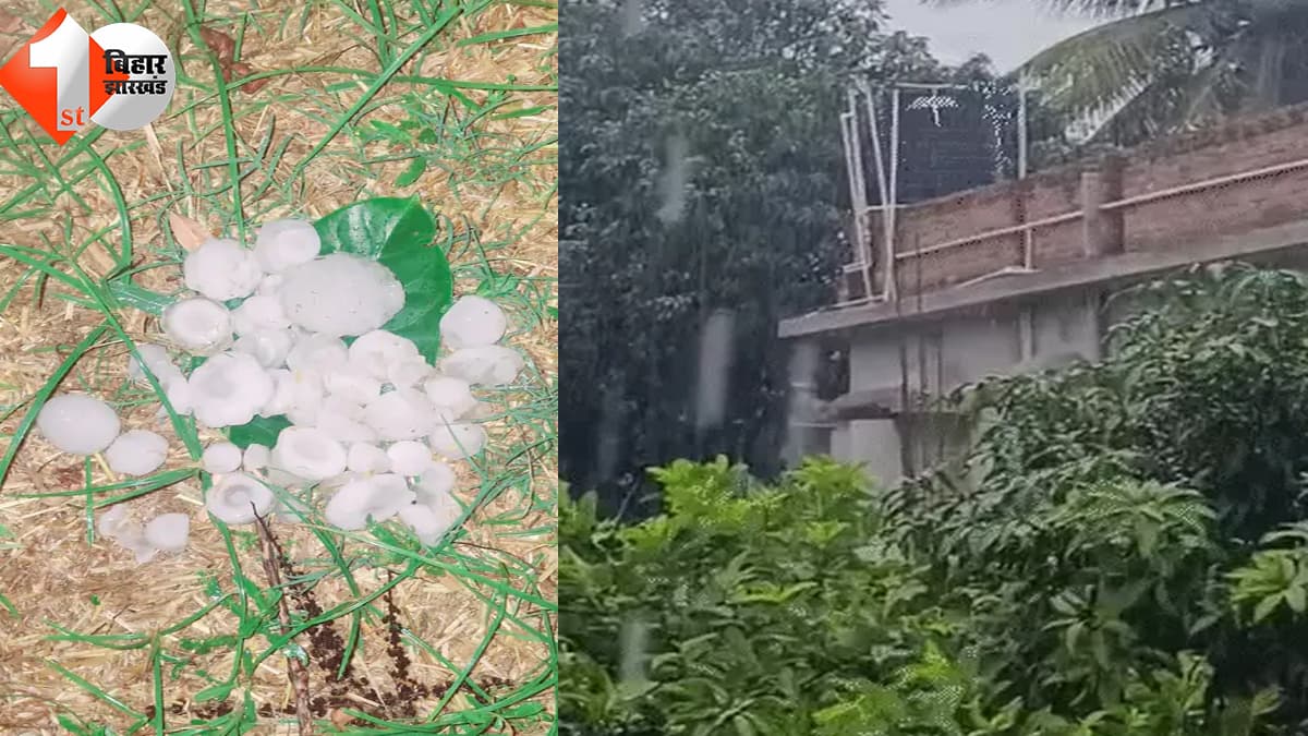 बिहार न्यूज