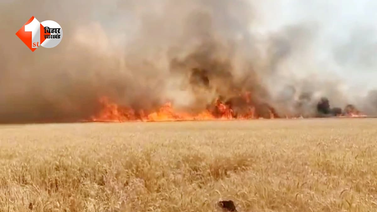 बिहार में आग का तांडव: सिवान से नवादा तक जले गेहूं के खेत, सैकड़ों एकड़ की फसल हुई राख