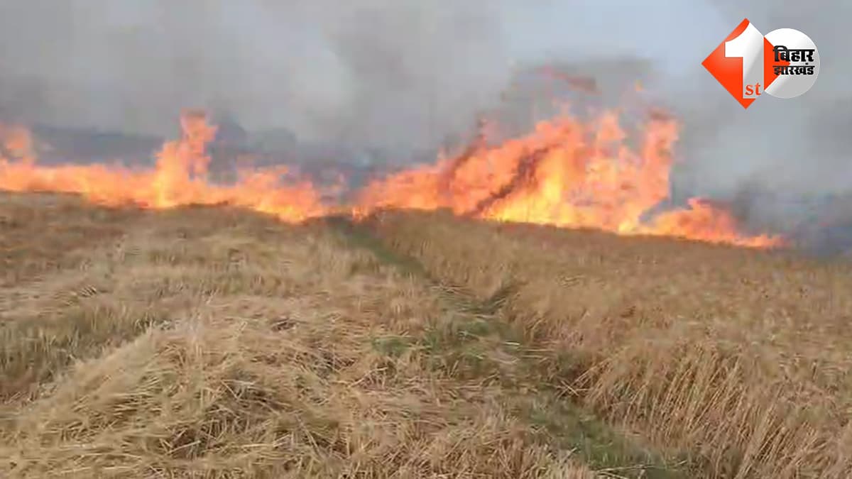 बिहार न्यूज