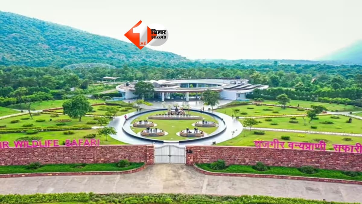 Rajgir Zoo Safari : अब लाइन खत्म! राजगीर सफारी में एक ही पास से मिलेगा पूरा जंगल एक्सपीरियंस, लॉन्च हुआ प्रायोरिटी पैकेज; जानिए क्या है ख़ास