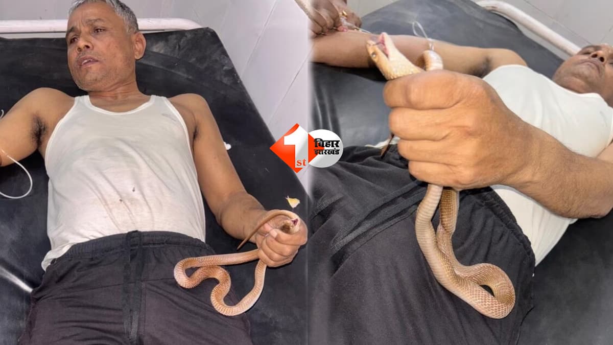 सीने पर गिरा कोबरा, उंगली में डसा… फिर भी जिंदा सांप पकड़कर अस्पताल पहुंचा शख्स; ऐसे बची जान