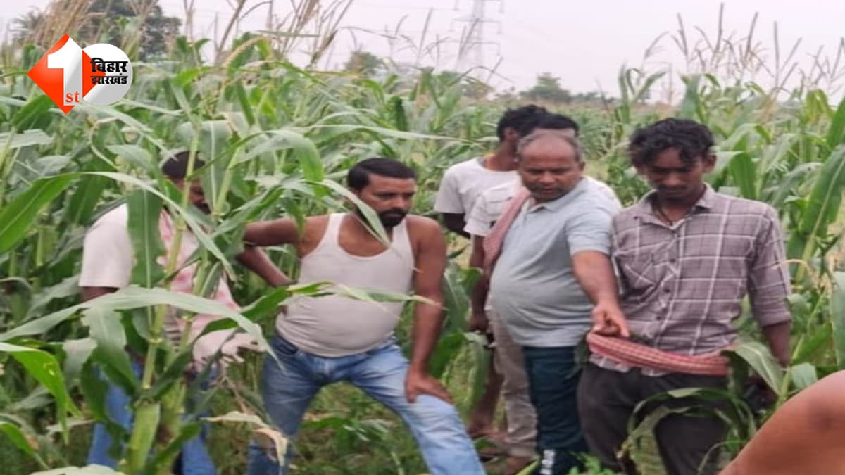 बांका में डबल मर्डर से दहशत: खेत में अर्धनग्न महिला का शव, सड़क किनारे युवक की गोली मारकर हत्या