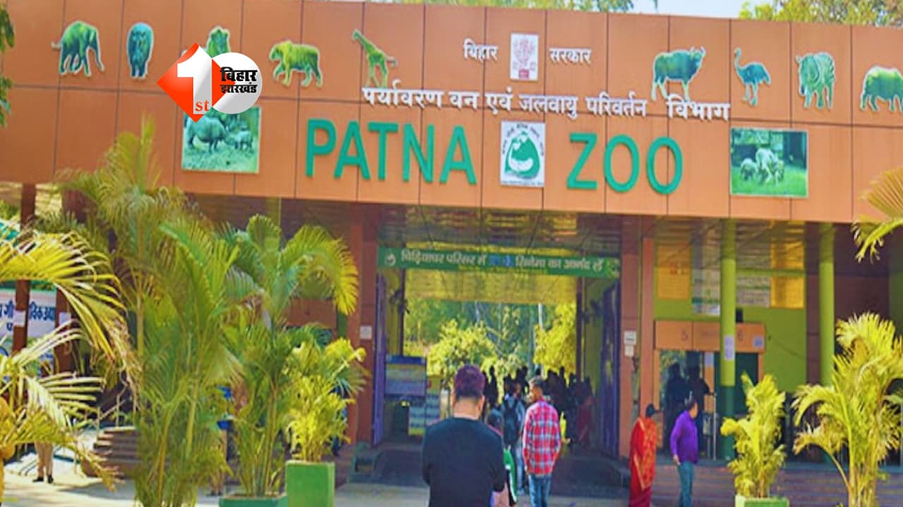 Patna Zoo : पूरी तरह बदलने वाला है पटना जू ! ट्री-वॉक, रॉक गार्डन और हाई-टेक एंट्री से बनेगा सबसे बड़ा हैंगआउट स्पॉट