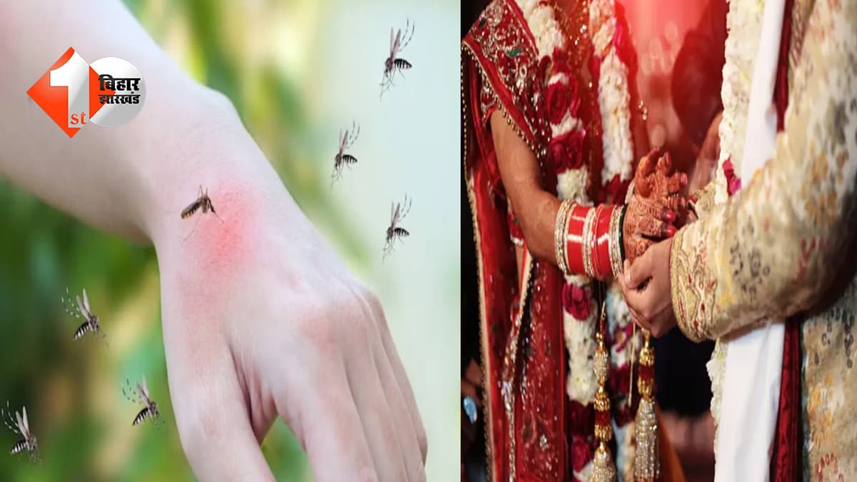 गुजरात न्यूज