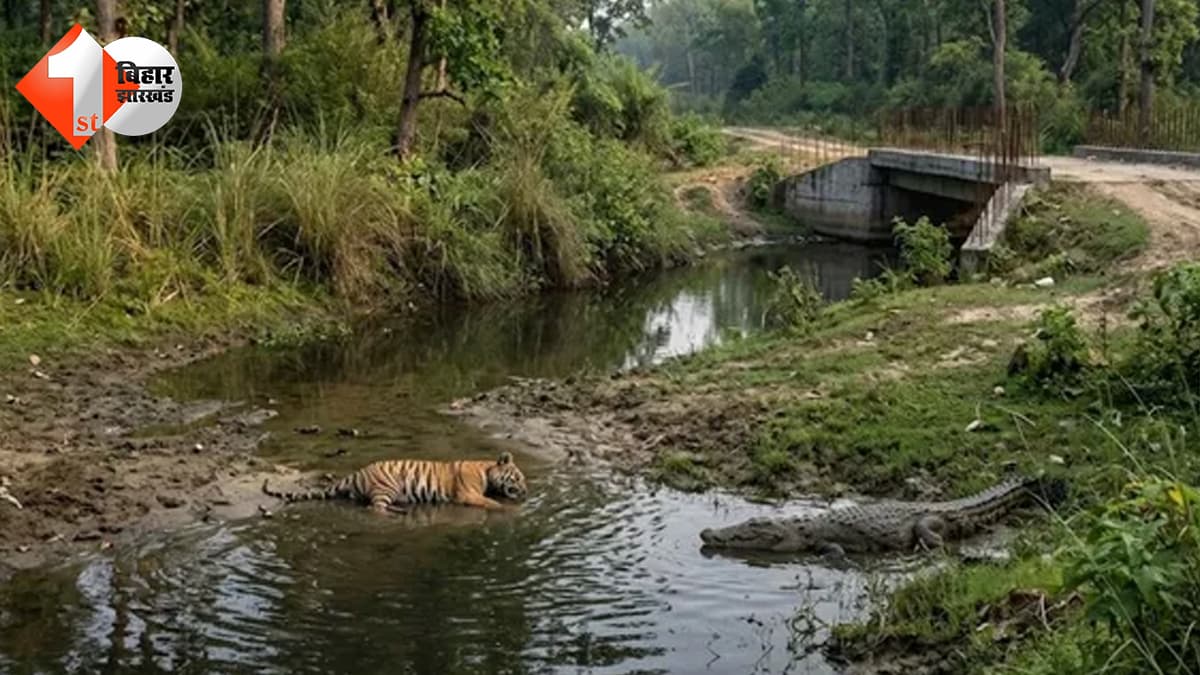 बिहार न्यूज