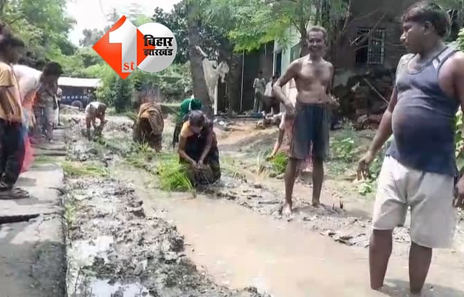 बिहार न्यूज