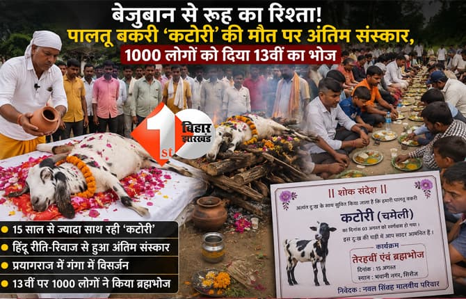 मध्यप्रदेश न्यूज