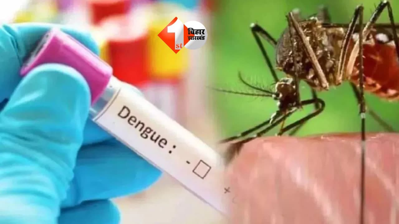 Dengue Update Patna