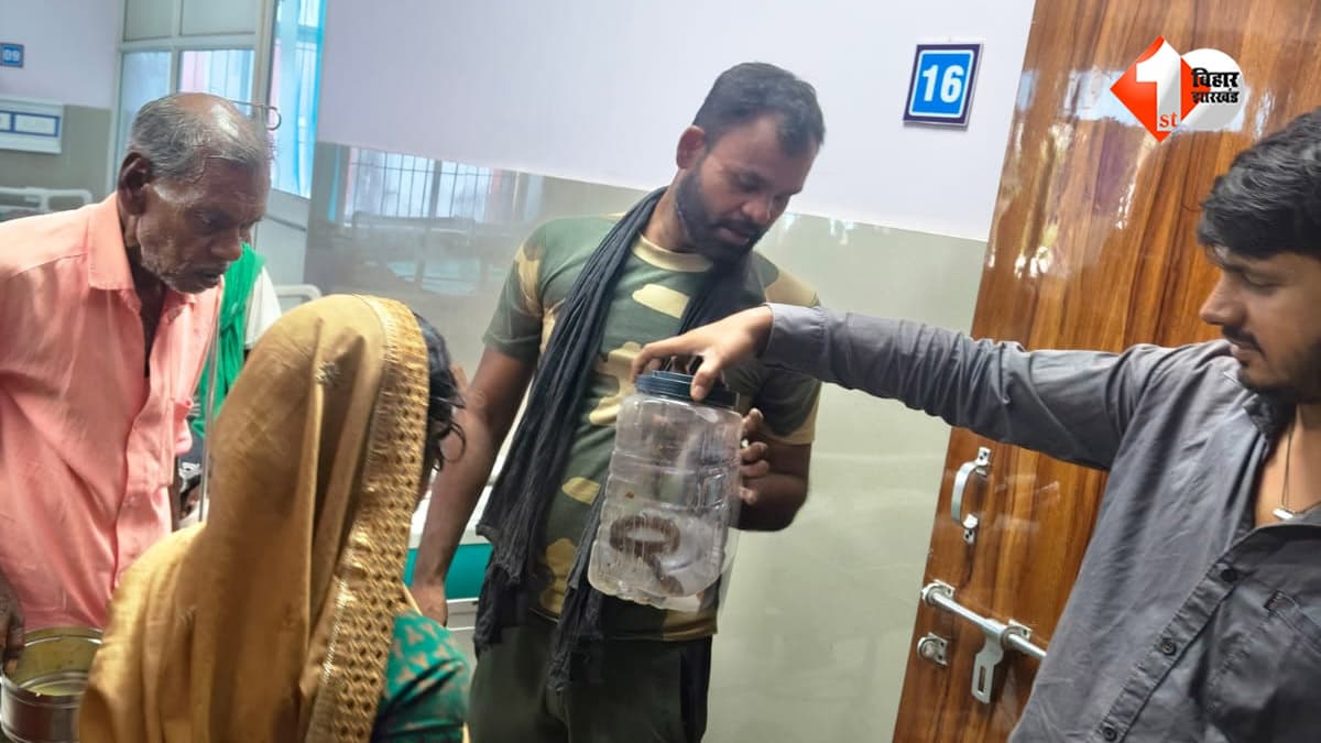 ब्रश निकालने गई महिला को सांप ने डसा, परिजनों ने डिब्बे में किया बंद और पहुंच गए अस्पताल; नजारा देख डॉक्टर भी रह गए हैरान