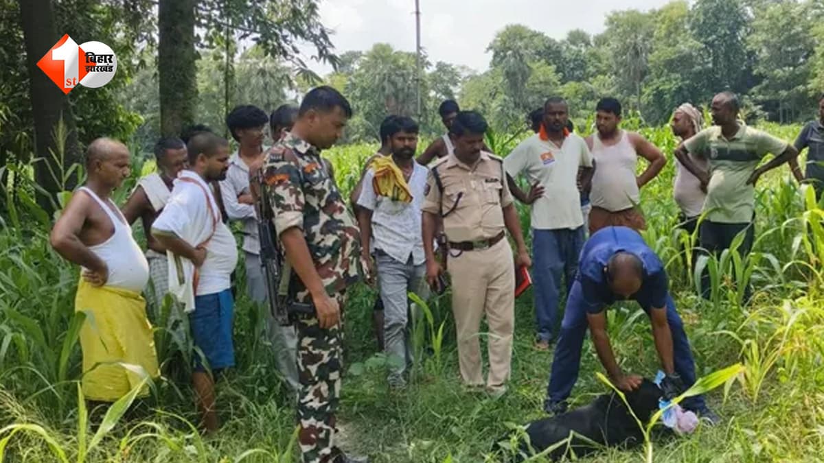 छत पर बेखबर सोता रहा पूरा परिवार, नीचे चोरों ने पी शराब और समेट ले गए 10 लाख का माल
