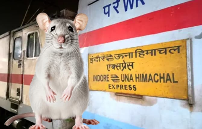 मध्यप्रदेश न्यूज