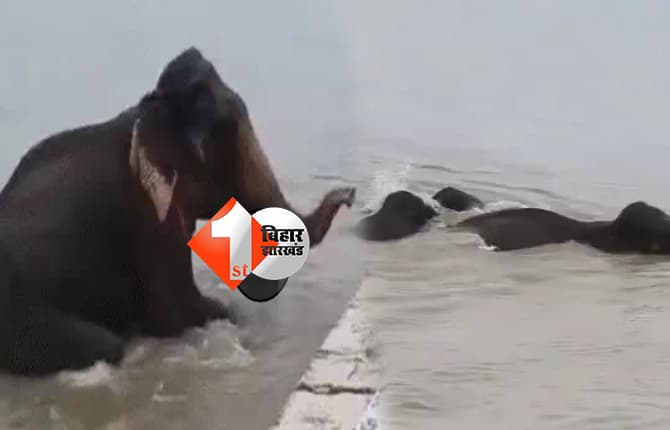 बिहार न्यूज