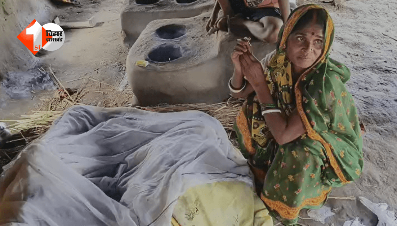 बेटे को बचाने की कोशिश में मां ने भी गंवाई जान, करंट की चपेट में आने से दोनों की दर्दनाक मौत
