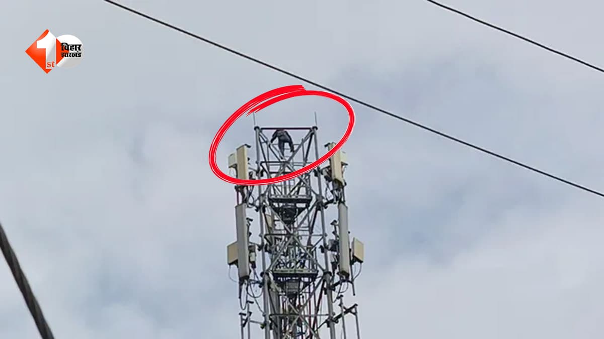 हाथ में चाकू लेकर मोबाइल टावर पर चढ़ी युवती, पुलिस के समझाने पर भी नहीं उतरी, फिर जो हुआ...