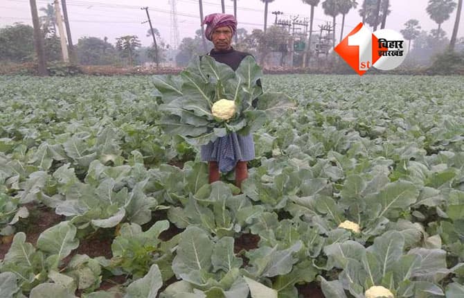 Bihar News