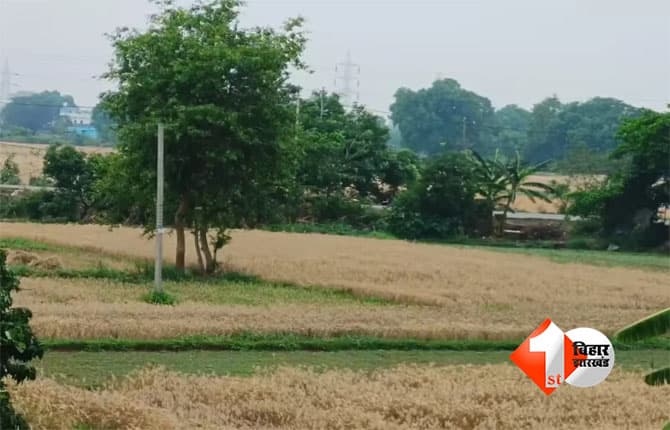 Bihar Bhumi