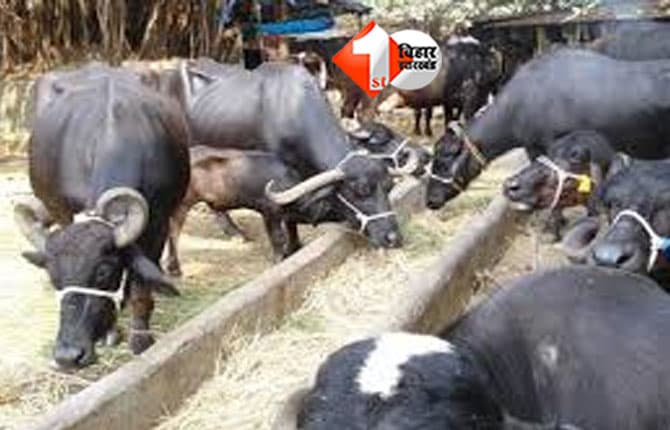 Bihar News