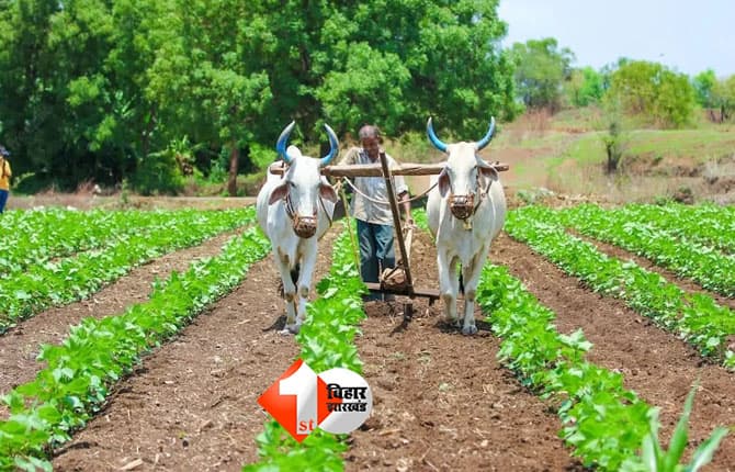 Bihar Farmer Scheme