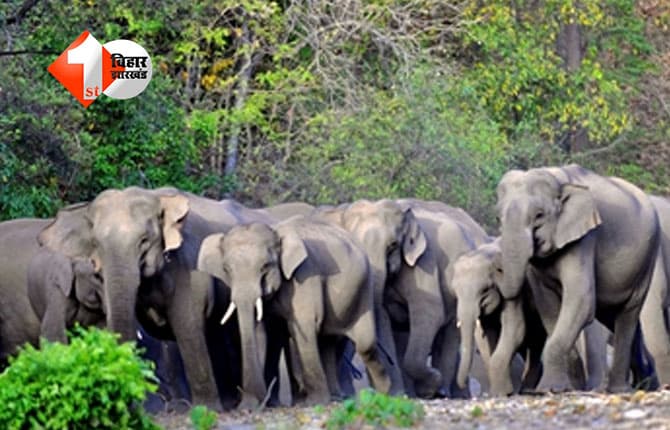 JHARKHAND