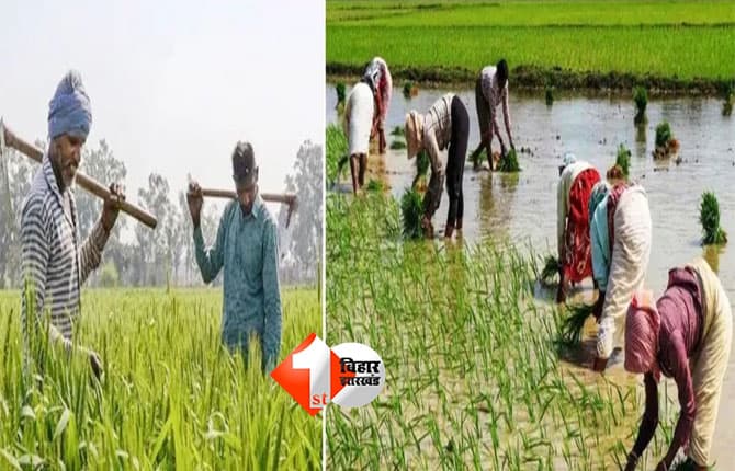PM Kisan Samman Nidhi : बिहार के किसानों के लिए बड़ी समस्या, पीएम-किसान सम्मान निधि की अगली किस्त से कई किसान वंचित; जानिए क्या है मुख्य वजह