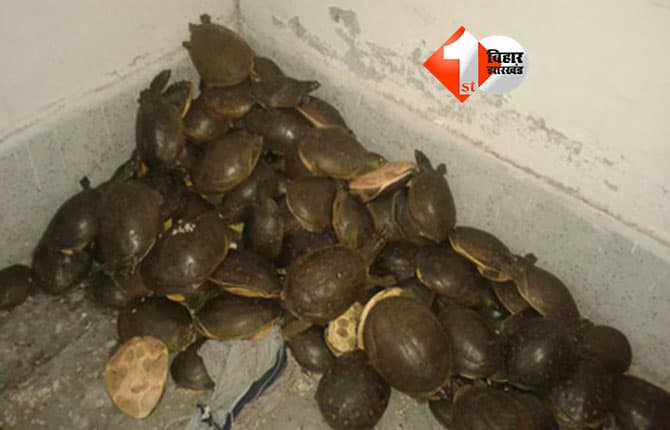 Bihar Crime News