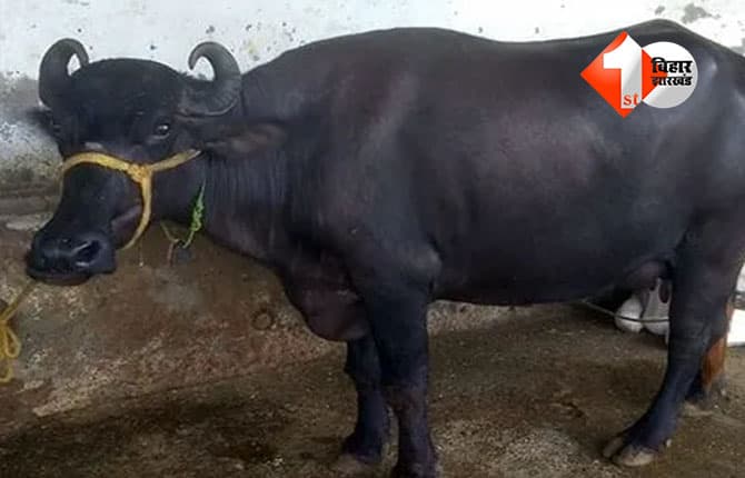 bihar