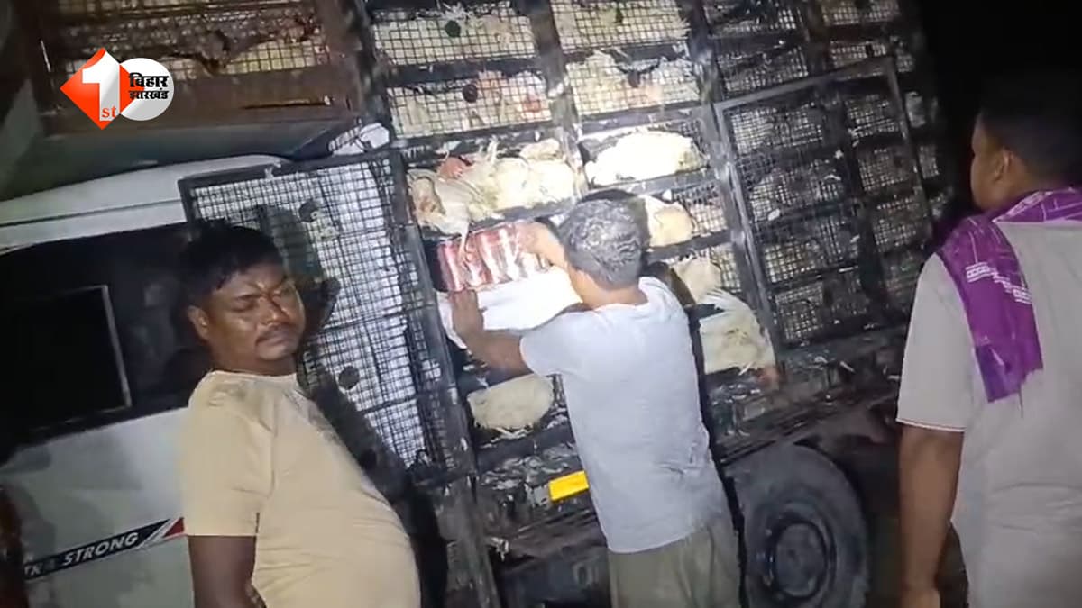 मुर्गियों से भरी पिकअप में छिपाकर ले जा रहे थे बीयर, पुलिस ने खोला तस्करी का राज; 5 गिरफ्तार, स्कॉर्पियो भी जब्त