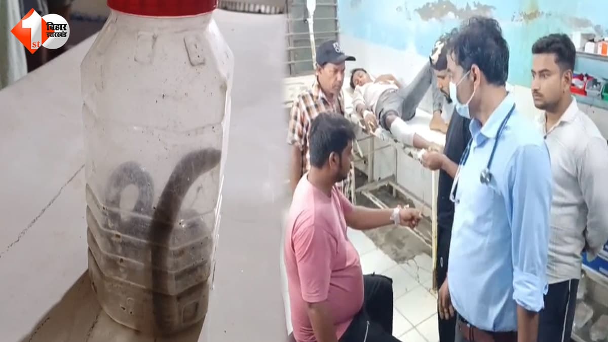 डॉक्टर साहब, इसी कोबरा ने डसा है… सांप को डिब्बे में बंद कर अस्पताल पहुंचा युवक, जिंदा नाग देख मची अफरा-तफरी
