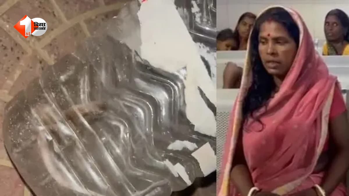 'डॉक्टर साहब, इसी सांप ने डंसा है', हाथ में जिंदा सांप लेकर अस्पताल पहुंची महिला, डॉक्टर भी रह गए दंग