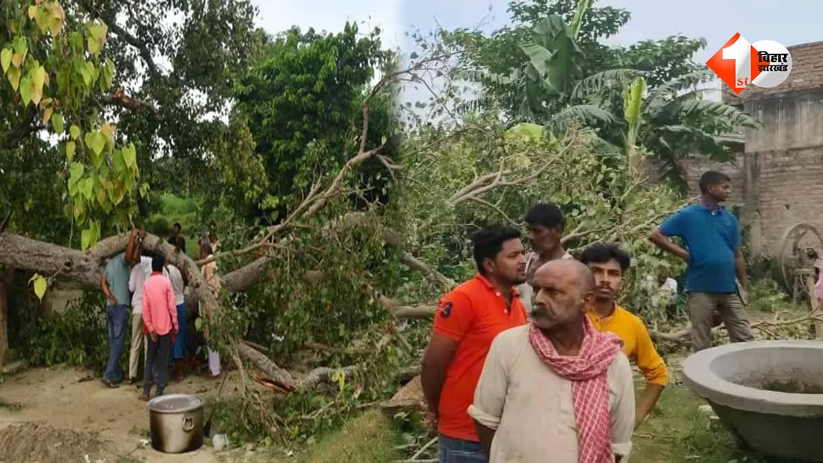बिहार में पूजा के दौरान बड़ा हादसा, पीपल की डाल गिरने से 2 श्रद्धालुओं की मौत; 8 की हालत गंभीर