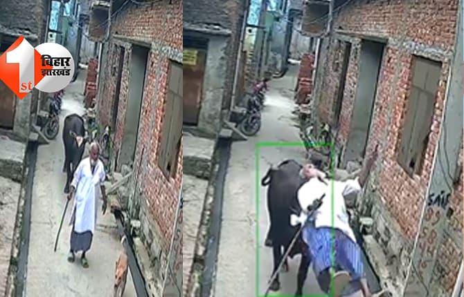 उत्तर प्रदेश न्यूज