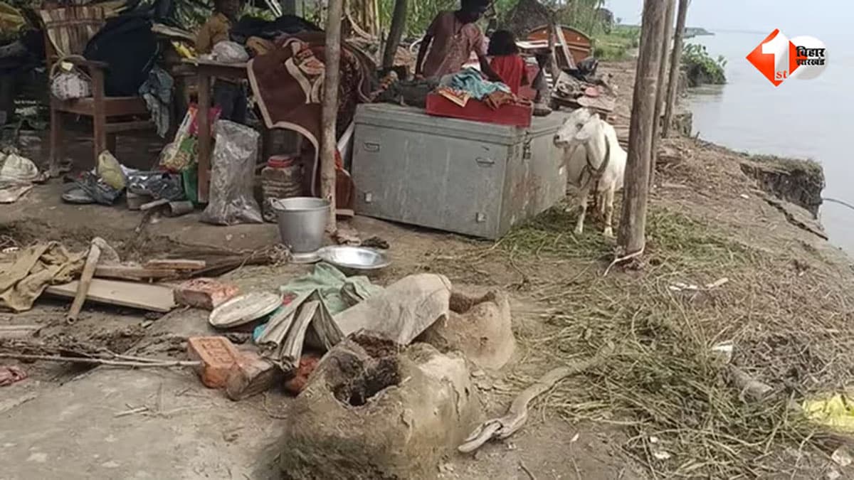 क्या सच में नदी निगल रही जमीन और कोसी के कहर से 35 परिवार हुआ बेघर? विभाग ने कर दिया क्लियर; पढ़ कर आपकी भी समस्या होगी दूर