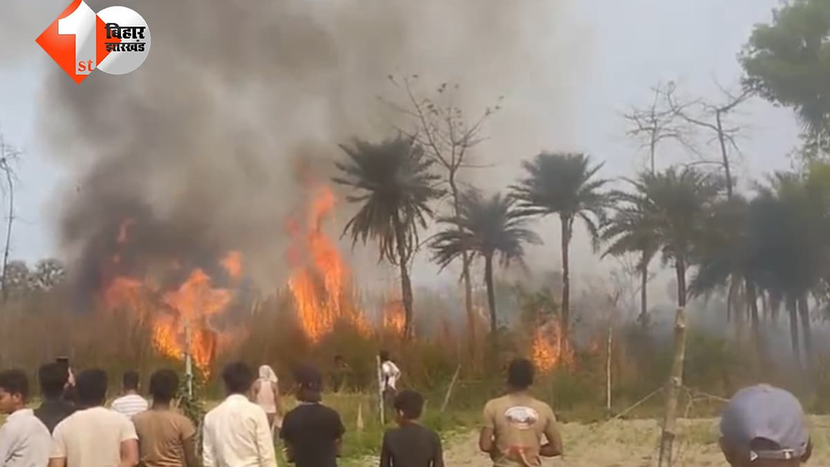 बिहार न्यूज