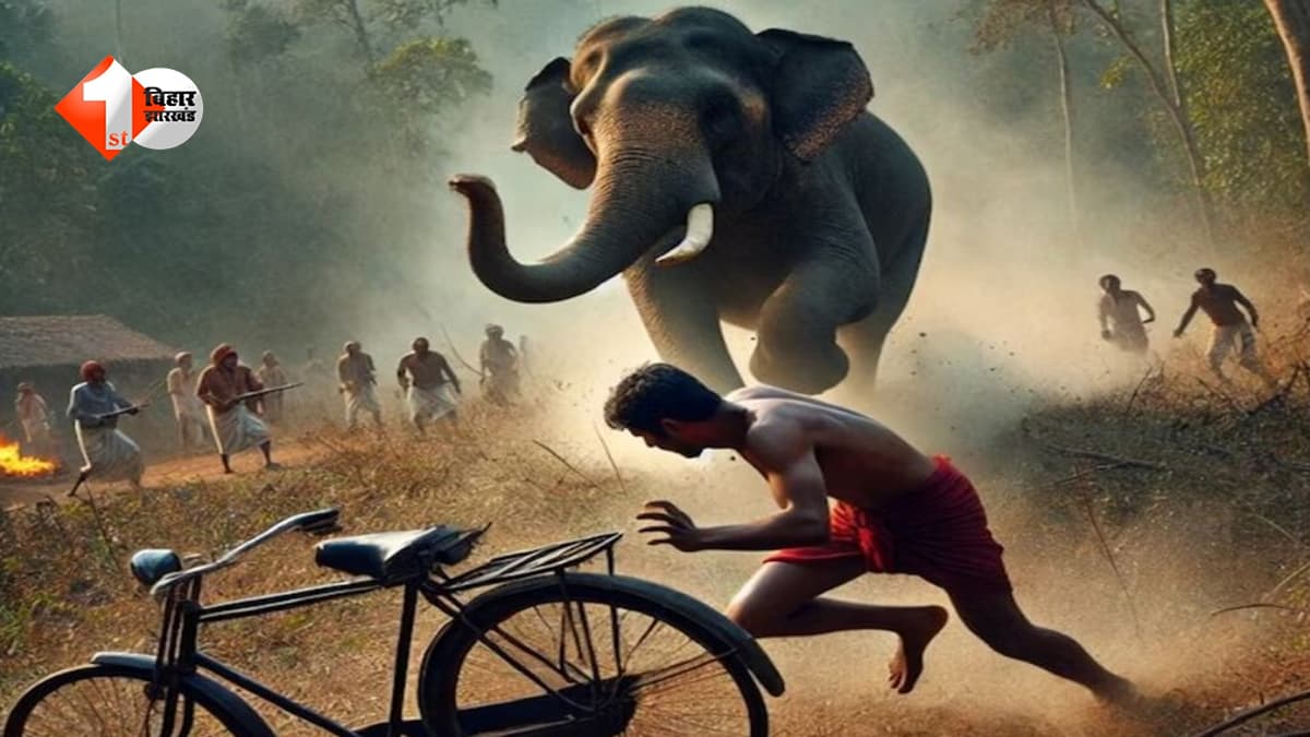 नवादा में हाथियों का ‘खूनी खेल’: रात के अंधेरे में हमला, बुजुर्ग को कुचलकर मार डाला; चार लोगों की मौत से दहशत