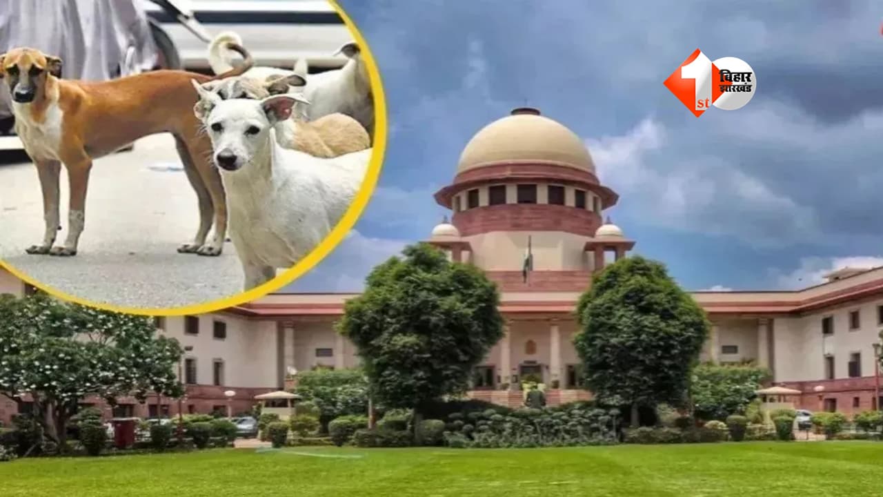 stray dogs news : अब स्कूल-कॉलेज और अस्पतालों में नहीं दिखेंगे आवारा कुत्ते! सुप्रीम कोर्ट ने दिया सख्त आदेश