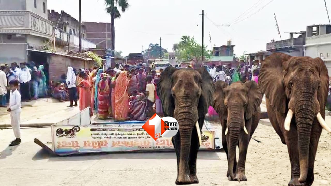 Bihar Elephant Attack : बिहार के इस जिले में हाथियों का आतंक: खेत में सो रहे बुजुर्ग को कुचलकर मार डाला, एक महीने में 5वीं मौत