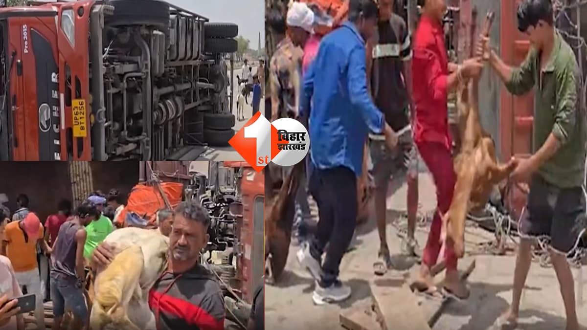 उत्तर प्रदेश न्यूज