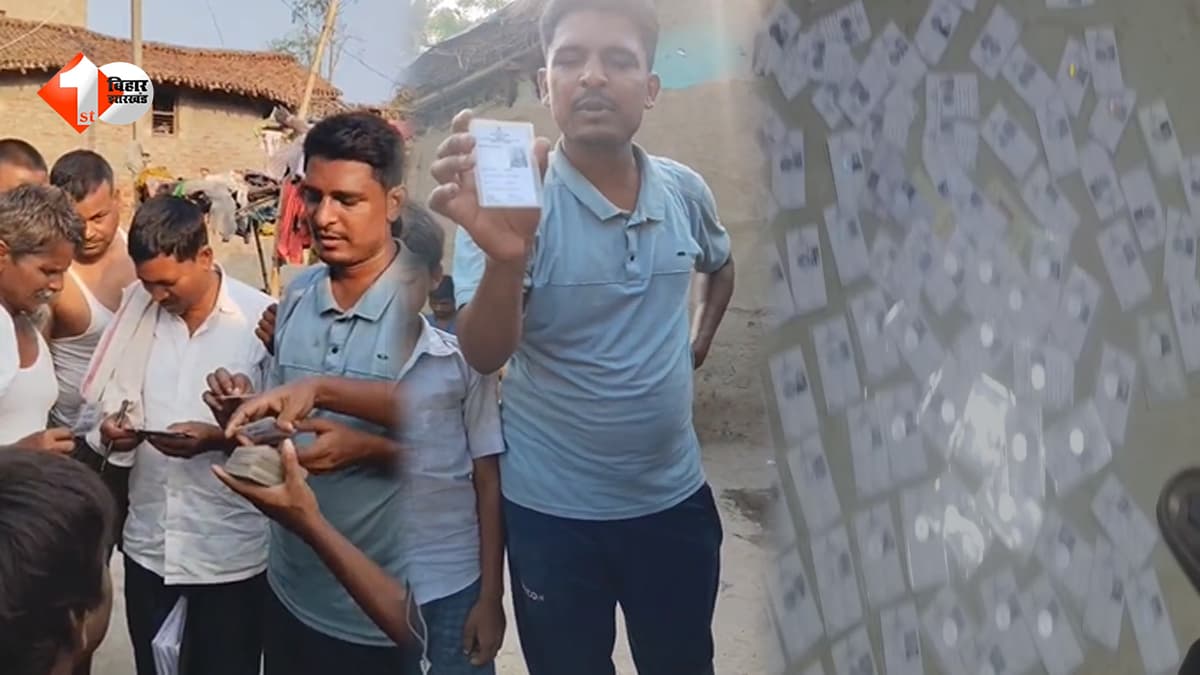सीतामढ़ी में पोखर से मिले सैकड़ों वोटर आईडी कार्ड, बच्चों ने ताश समझकर उठाया, जांच में जुटा प्रशासन