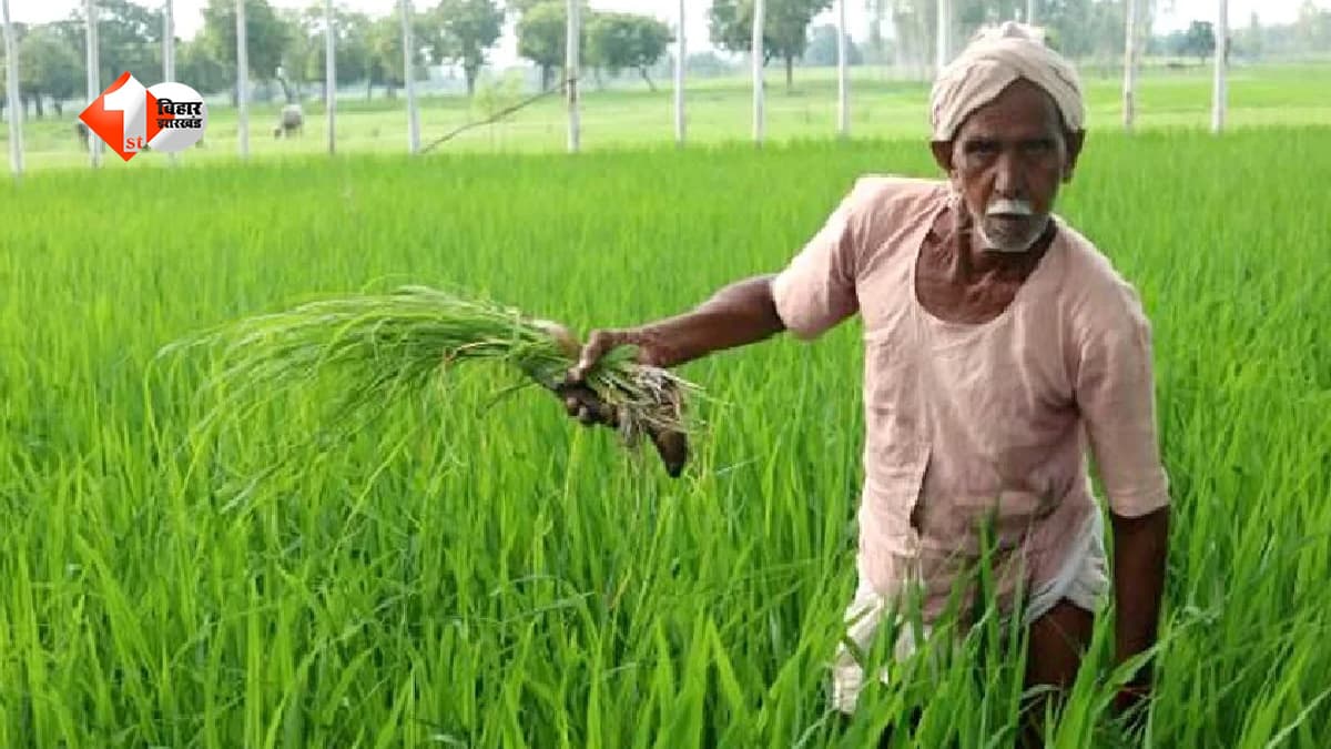 PM Kisan की 23वीं किस्त का इंतजार खत्म! इस महीने किसानों के खाते में आ सकते हैं 2,000, e-KYC नहीं कराया तो अटक सकता है पैसा