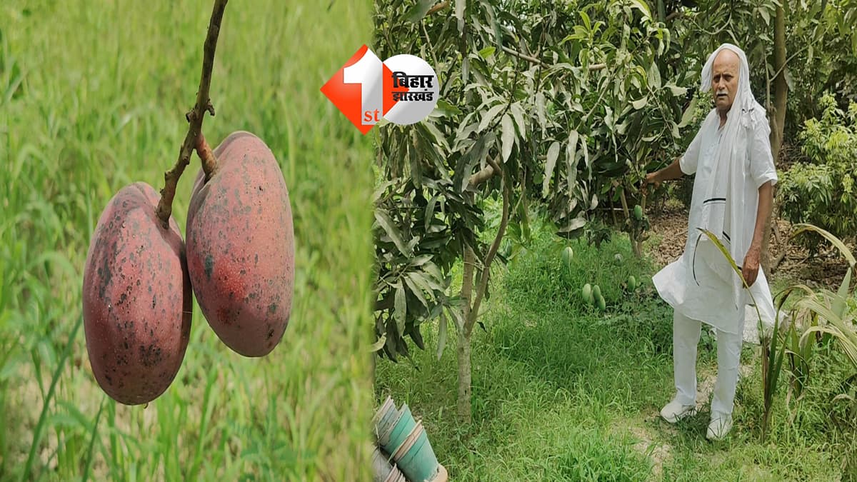 बिहार न्यूज