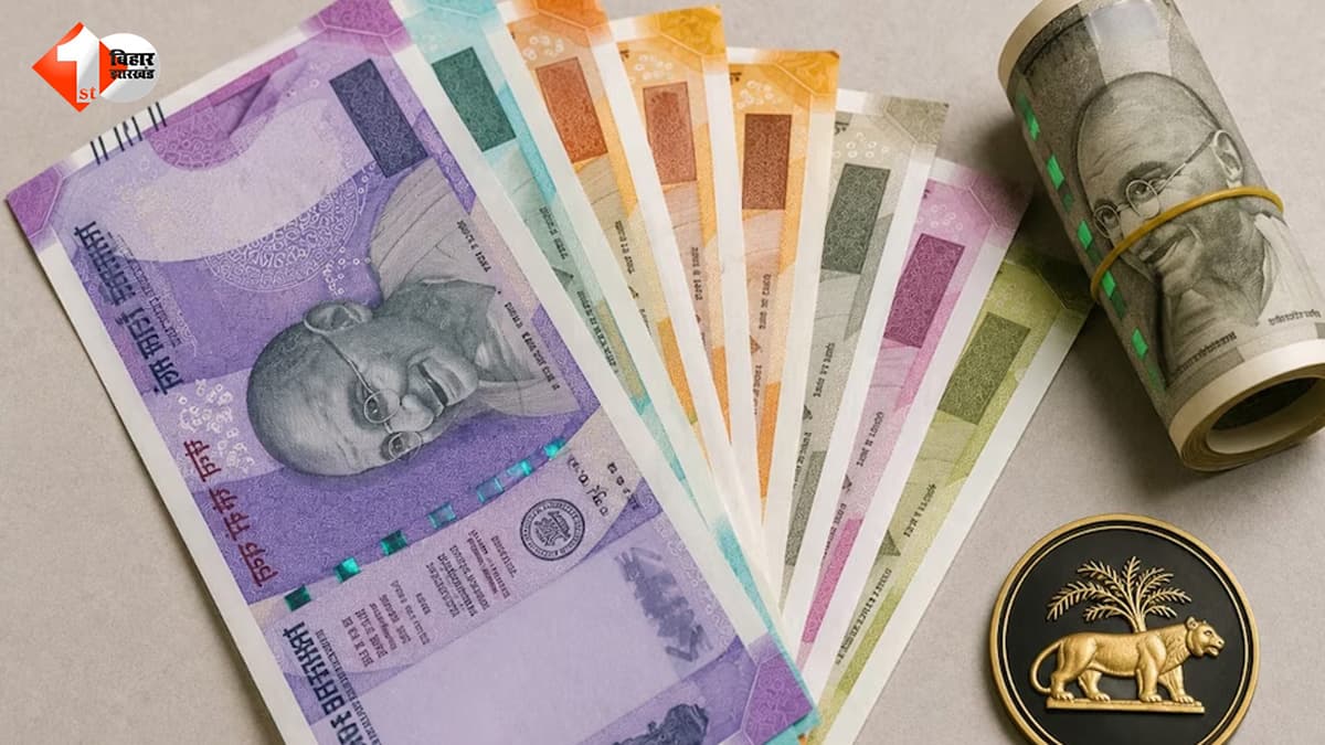 Plastic Banknotes: न फटेंगे, न जल्दी खराब होंगे… भारत में जल्द आएंगे प्लास्टिक के नोट, RBI की बड़ी योजना