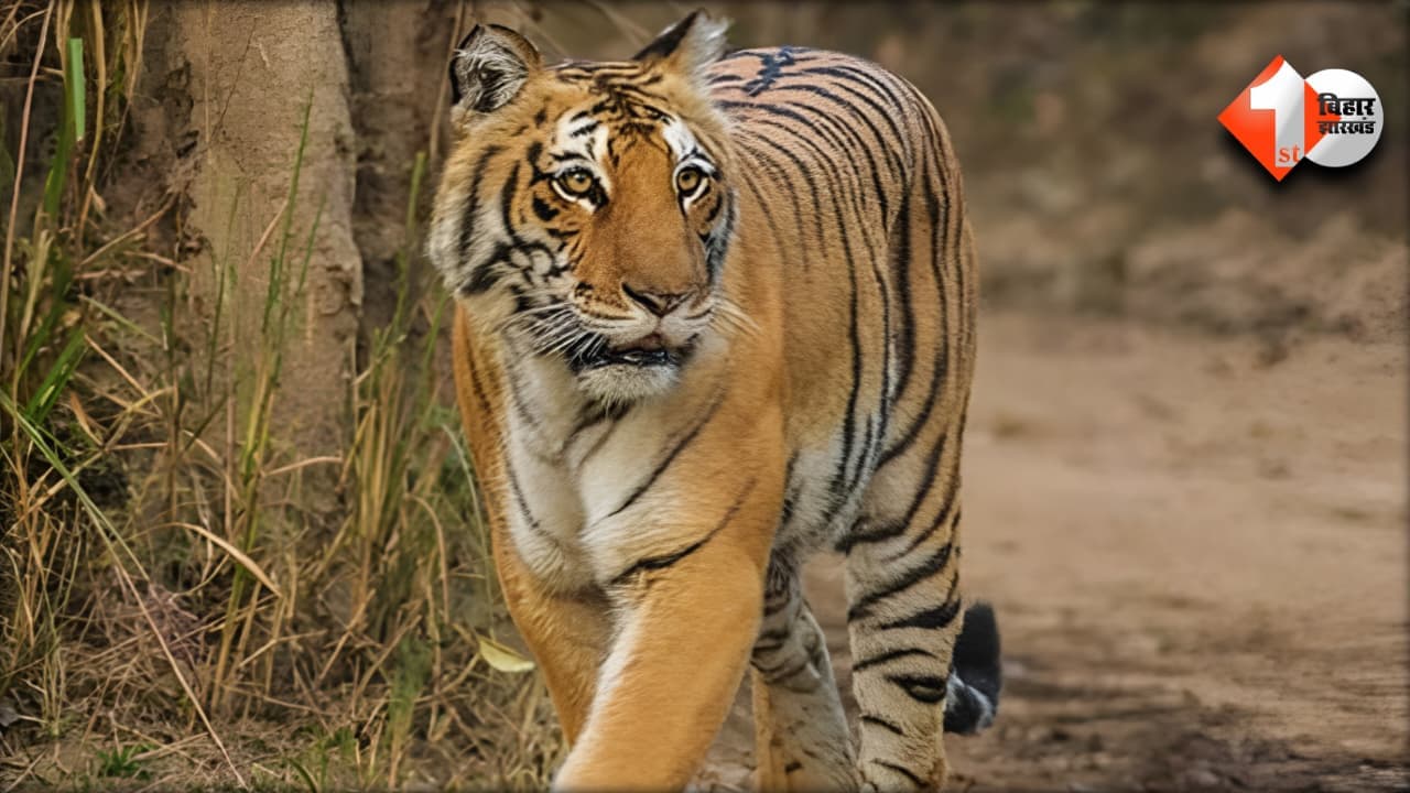 Bihar News
