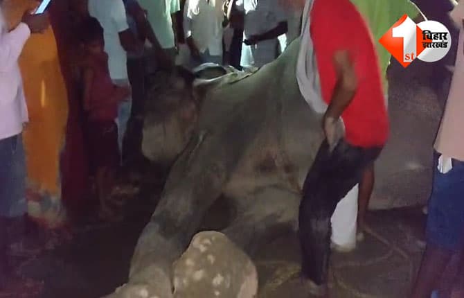 बिहार
