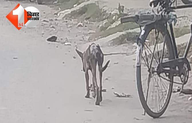 बिहार न्यूज