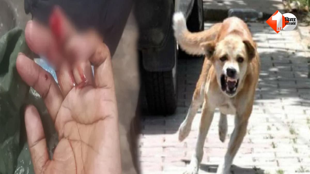 बिहार में मां दुर्गा की डोली यात्रा के बीच अचानक मचा हड़कंप, खूंखार कुत्ते ने 50 से ज्यादा लोगों को काटा