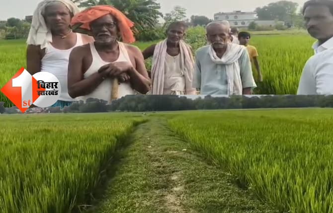 बिहार न्यूज