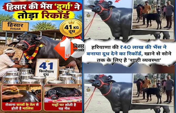 हरियाणा न्यूज
