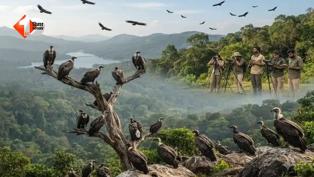 लुप्त हो रहे गिद्धों को बचाने के लिए बिहार सरकार की बड़ी पहल, यहां बनेगा देश का 9वां गिद्ध संरक्षण केंद्र